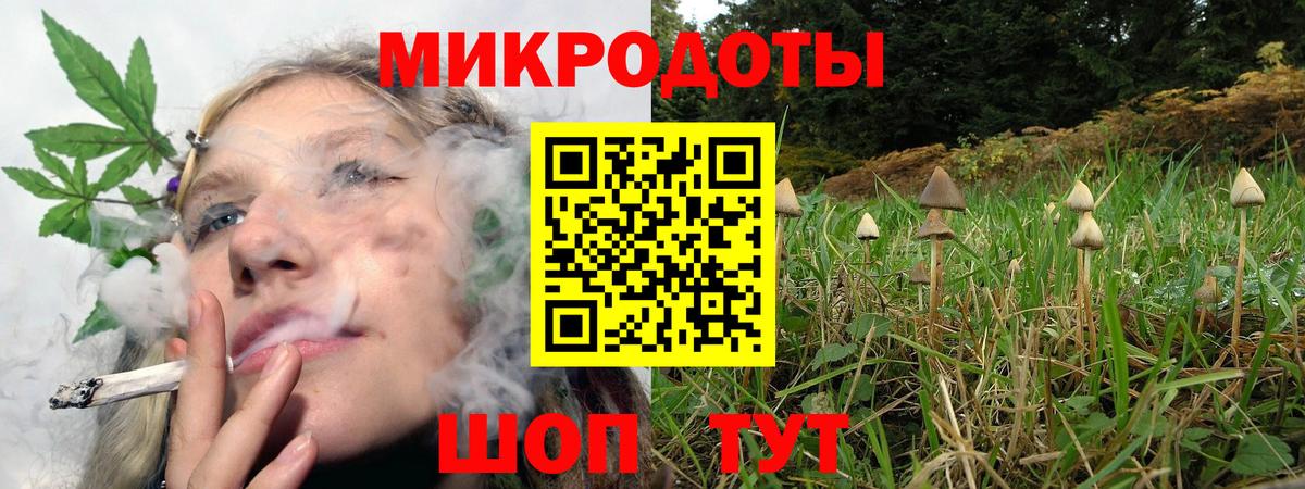 Галлюциногенные грибы мухоморы Губкинский
