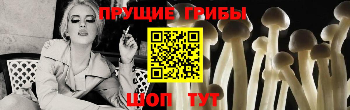 Губкинский  Галлюциногенные грибы Psilocybe  Вход с VPN 